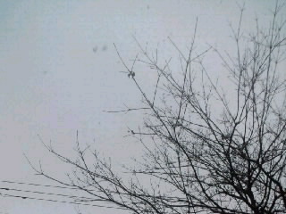 a0194522_19302925.jpg