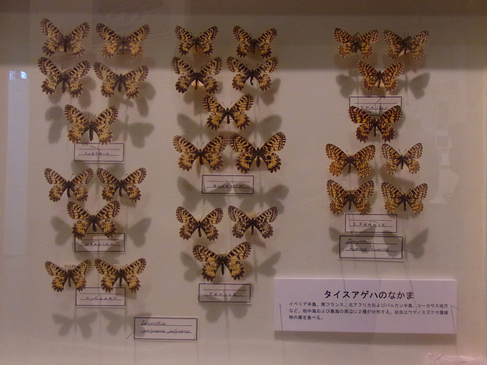 f0160222_22442338.jpg