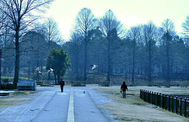 a0253730_2255180.jpg