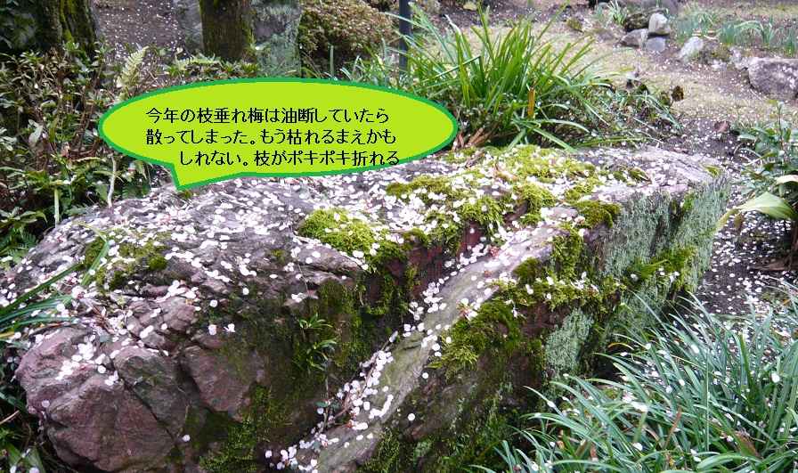 a0206332_9212448.jpg