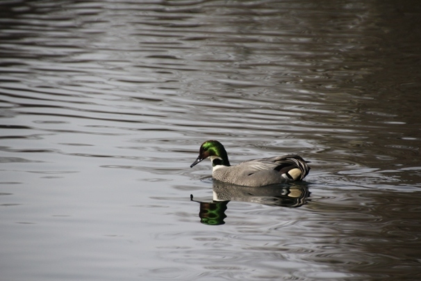a0205834_218029.jpg