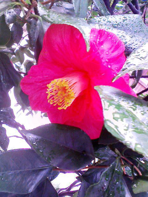 b0240739_1161163.jpg