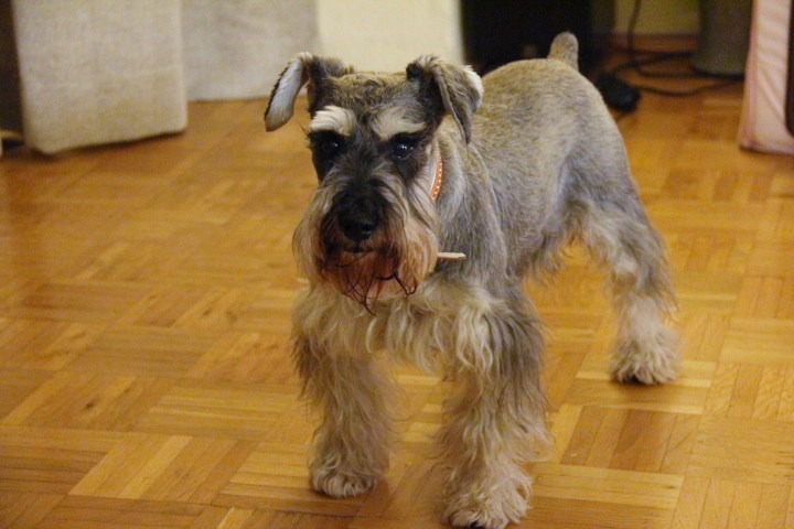c0153740_3395432.jpg