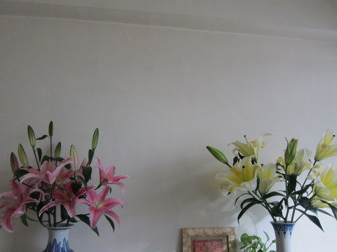 e0018143_37507.jpg