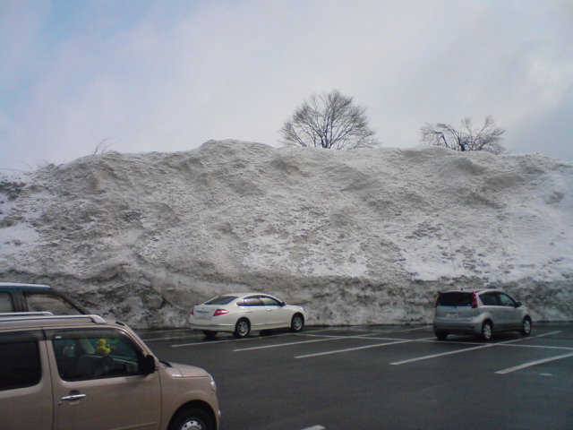 c0104445_2314778.jpg
