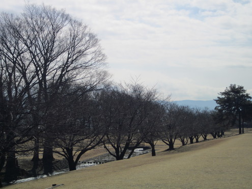 a0162251_12103240.jpg