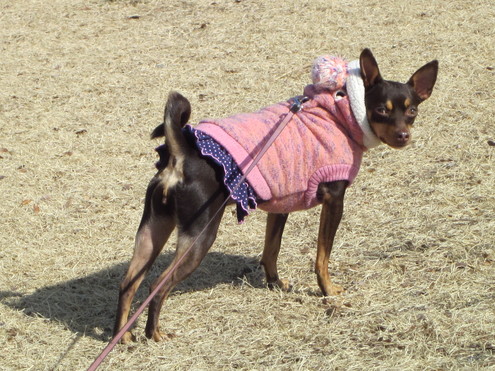 a0162251_12135148.jpg