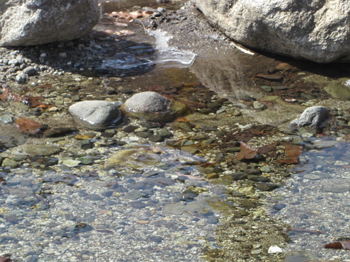 a0162251_1215389.jpg
