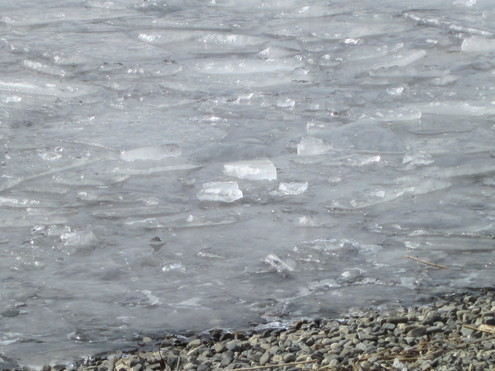 a0162251_12321898.jpg