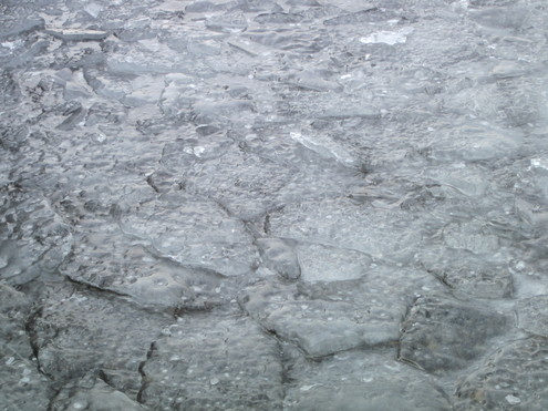 a0162251_12325775.jpg