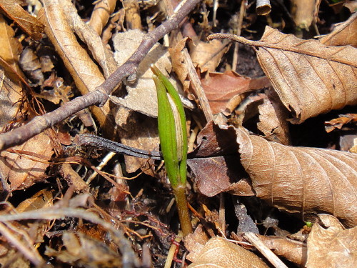 c0179351_21172077.jpg