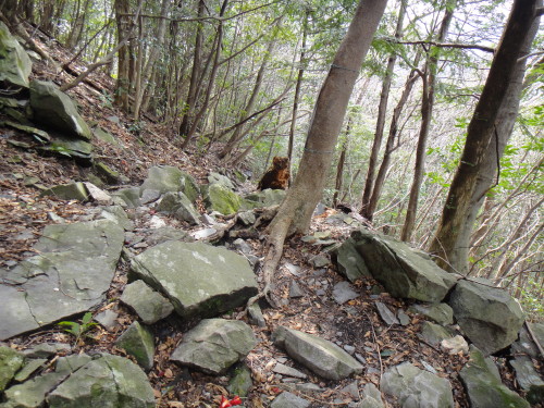 c0179351_21213176.jpg