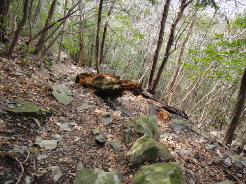 c0179351_21223416.jpg