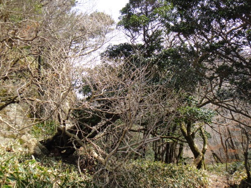 c0179351_2144476.jpg