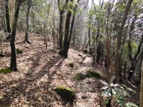 c0179351_215542.jpg