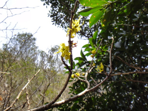 c0179351_217059.jpg
