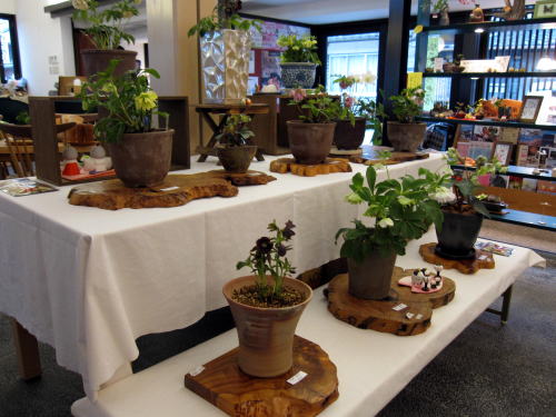 c0147952_214274.jpg