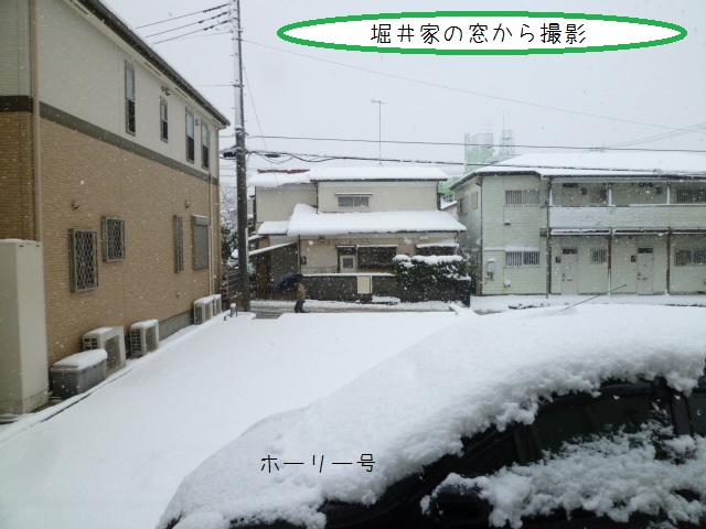 a0166954_031566.jpg