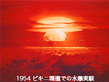 d0136354_13231254.jpg