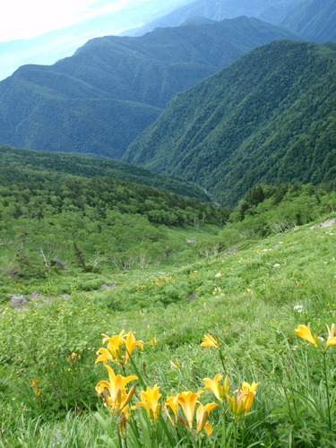 d0083859_15402711.jpg