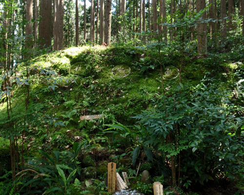 d0083859_18442979.jpg