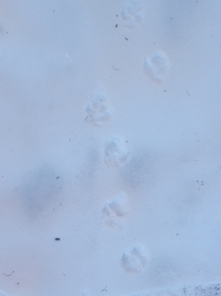 d0117559_8465635.jpg