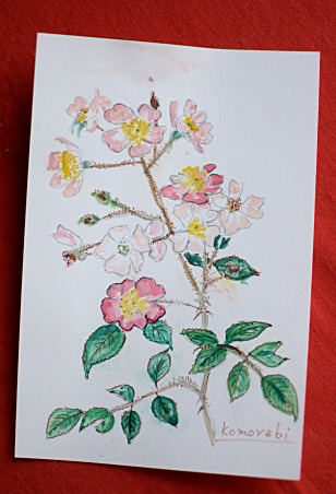 c0186463_1992510.jpg