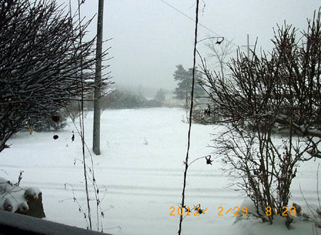 b0075364_10123616.jpg