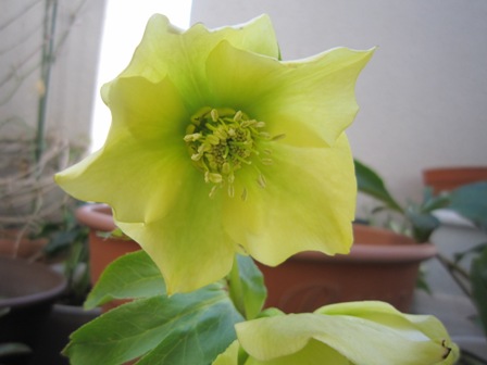 c0202870_1056375.jpg