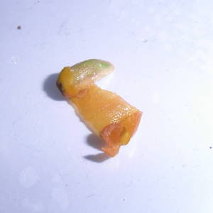 d0249970_22794.jpg