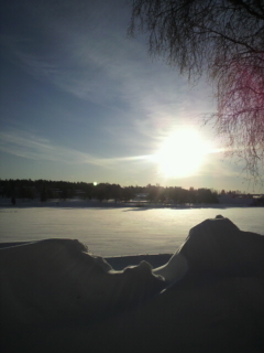 a0259777_8402365.jpg
