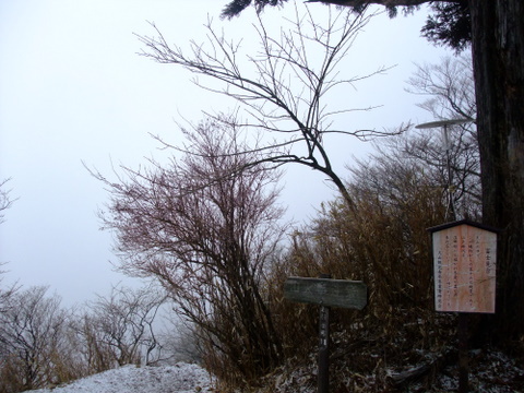 a0043982_20224099.jpg