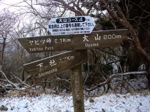 a0043982_2316451.jpg