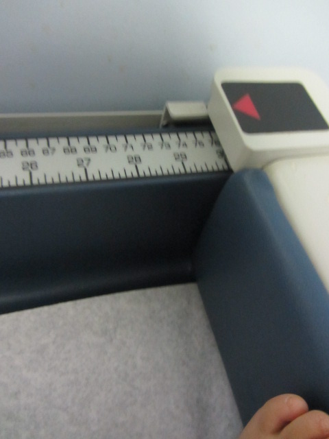 b0202185_18185525.jpg