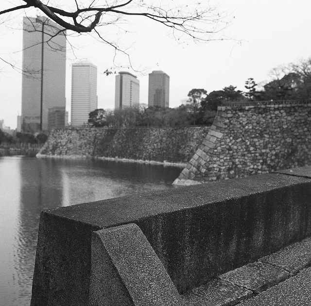 c0160387_875820.jpg