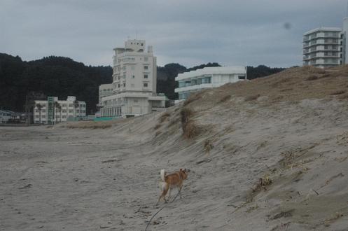 c0123890_8125629.jpg