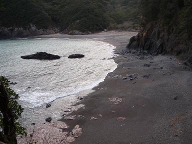 a0125598_2183948.jpg