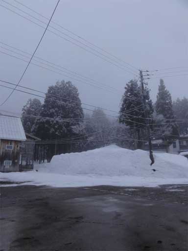 a0061599_6475129.jpg