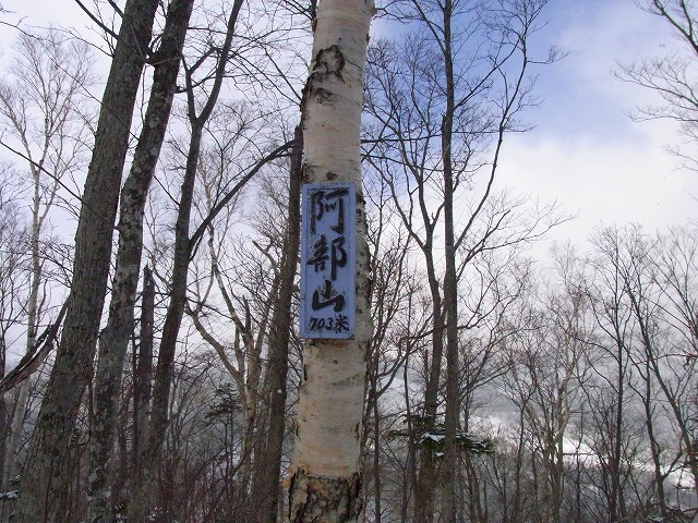 f0157901_20405861.jpg