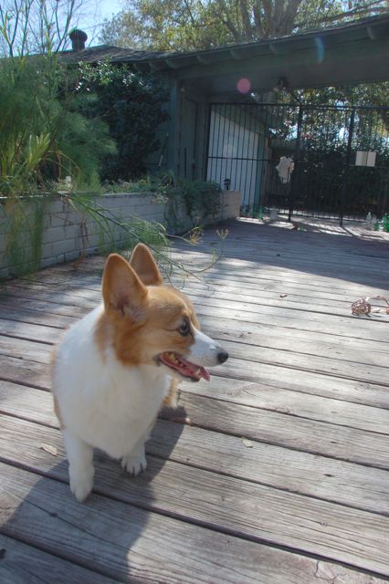 f0227709_891535.jpg