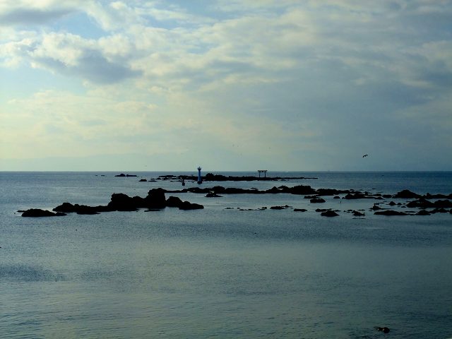 d0175710_2061141.jpg