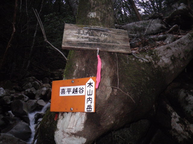 d0006512_18554647.jpg
