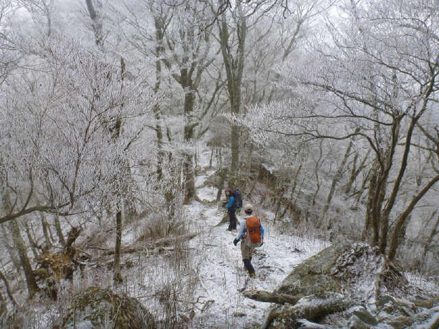 d0006512_20214064.jpg