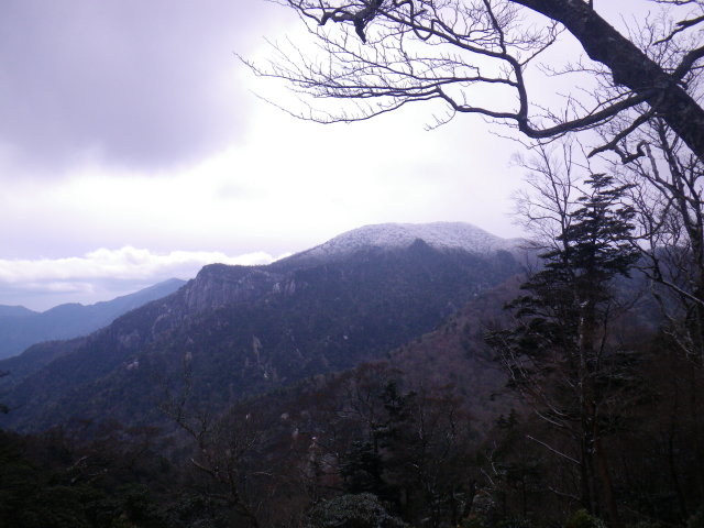 d0006512_202588.jpg