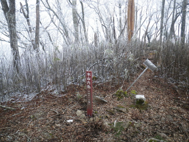 d0006512_20432321.jpg