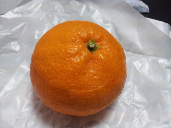 e0033713_18443227.jpg