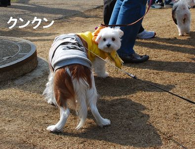 f0214121_1138995.jpg