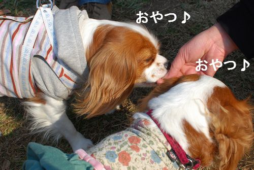 f0214121_11595080.jpg