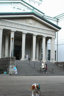 f0214121_11796.jpg