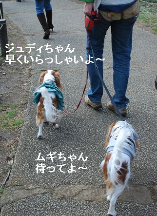 f0214121_12291695.jpg